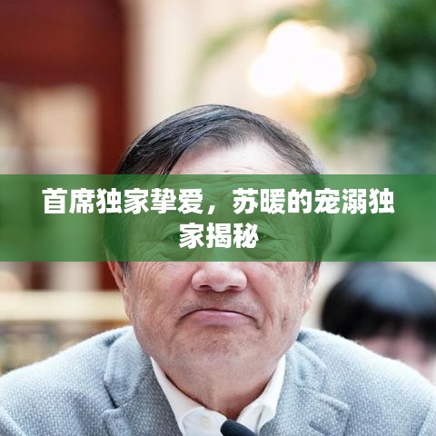 首席独家挚爱，苏暖的宠溺独家揭秘