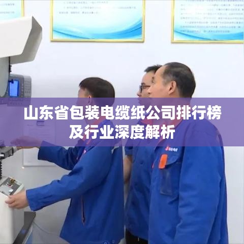 山东省包装电缆纸公司排行榜及行业深度解析