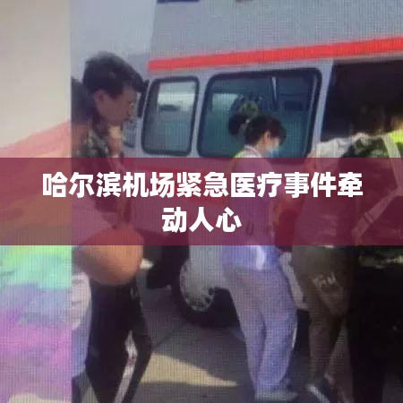 哈尔滨机场紧急医疗事件牵动人心