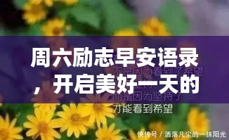 周六励志早安语录，开启美好一天的动力源泉！