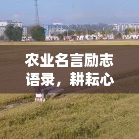 农业名言励志语录，耕耘心田，播种希望，收获成功与梦想