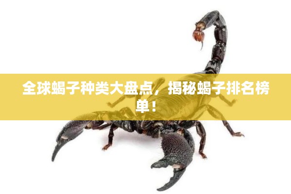全球蝎子种类大盘点，揭秘蝎子排名榜单！