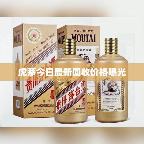 虎茅今日最新回收价格曝光