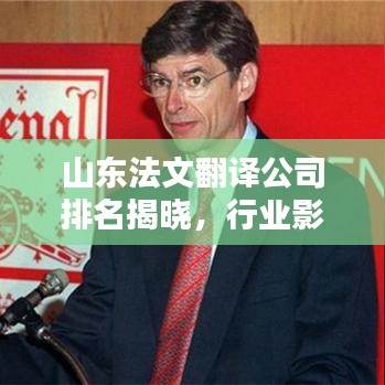 山东法文翻译公司排名揭晓，行业影响力不容小觑
