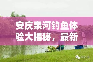 有张没智