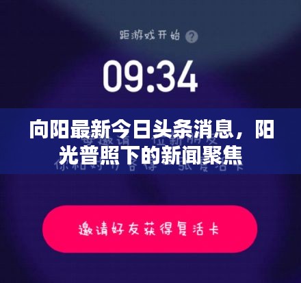向阳最新今日头条消息，阳光普照下的新闻聚焦