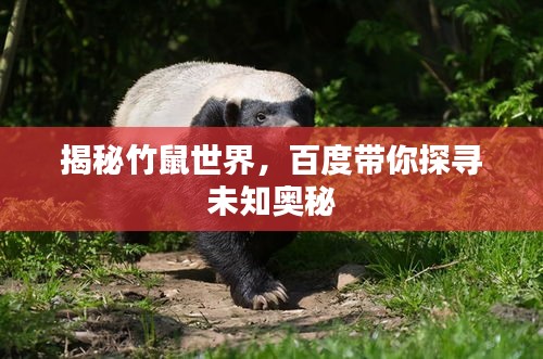难得可贵