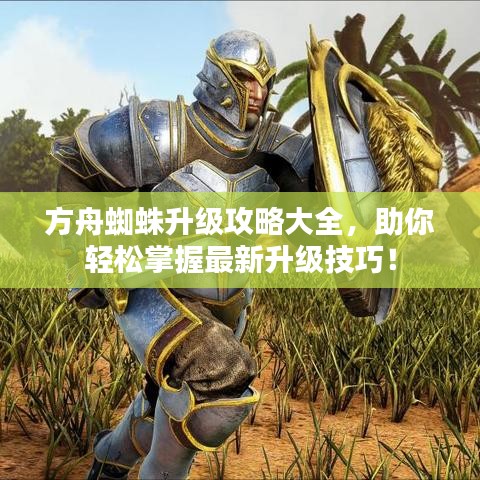 关于我们 第25页