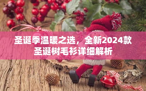 圣诞季温暖之选，全新2024款圣诞树毛衫详细解析