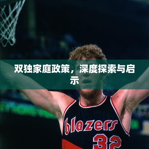 双独家庭政策，深度探索与启示