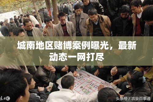 城南地区赌博案例曝光，最新动态一网打尽