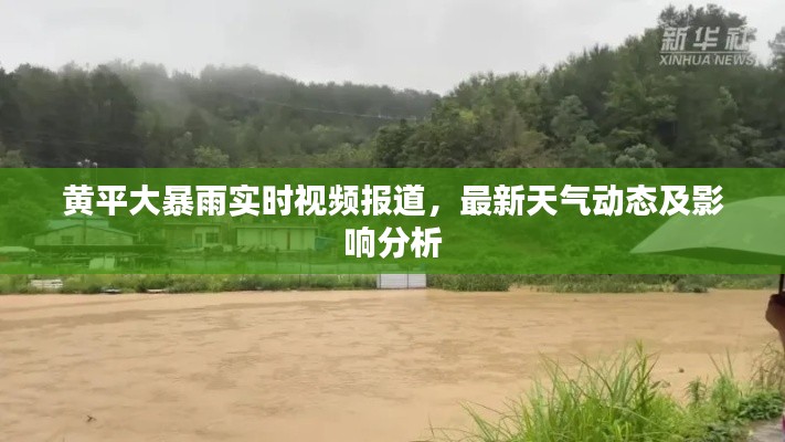 流光飞舞