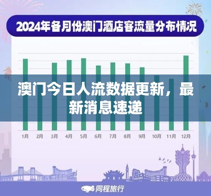 澳门今日人流数据更新，最新消息速递