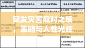 飞扬跋扈