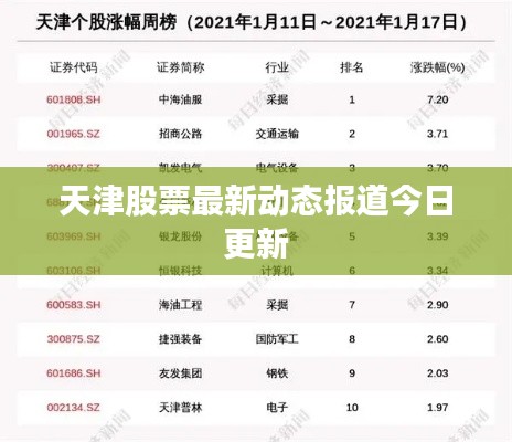 惊弓之鸟