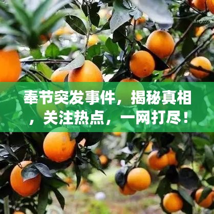 关于我们 第19页