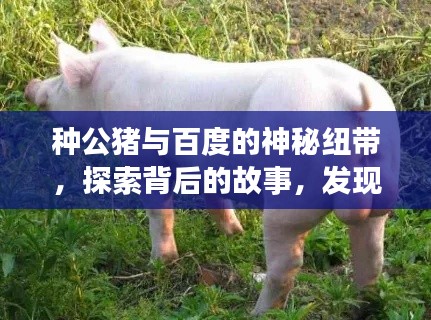 明夷于飞