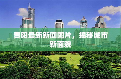 举止娴雅