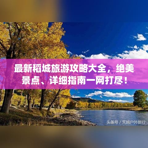 翰飞戾天