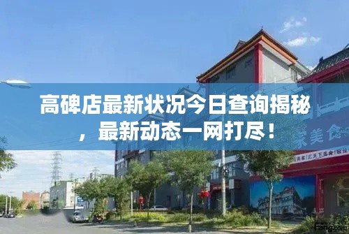 关于我们 第17页