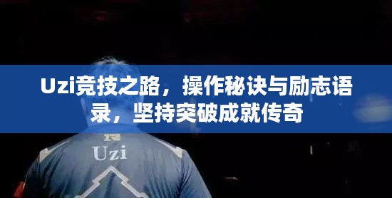 飞燕化龙