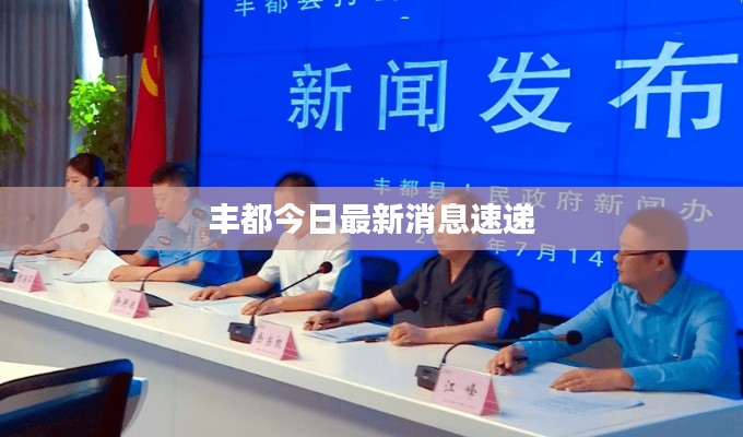 丰都今日最新消息速递