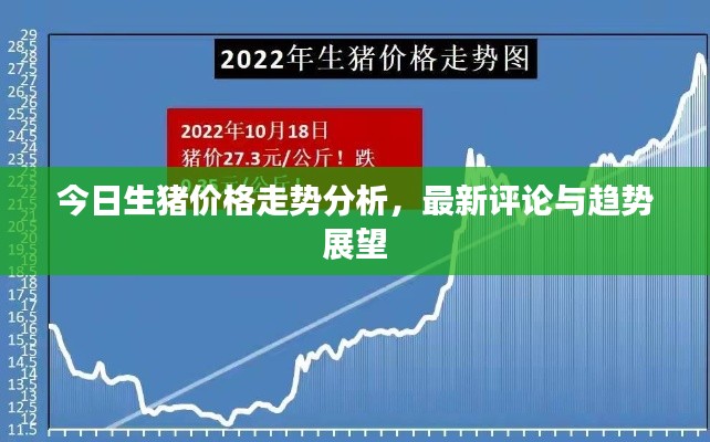 今日生猪价格走势分析，最新评论与趋势展望
