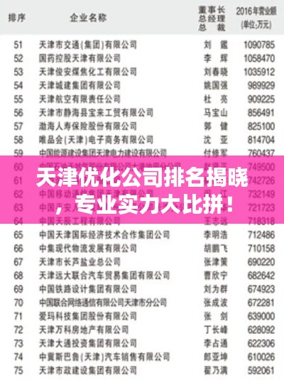 天津优化公司排名揭晓，专业实力大比拼！