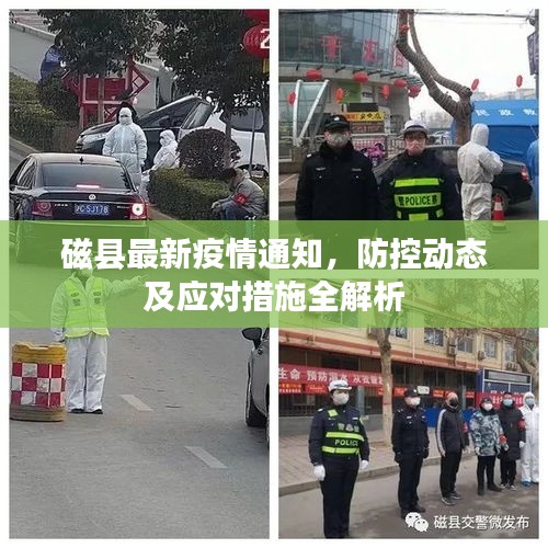 磁县最新疫情通知，防控动态及应对措施全解析