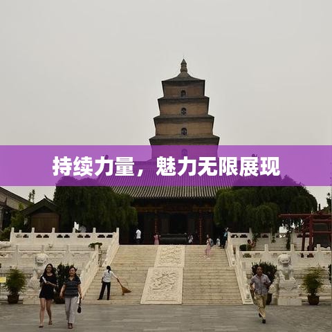 持续力量，魅力无限展现