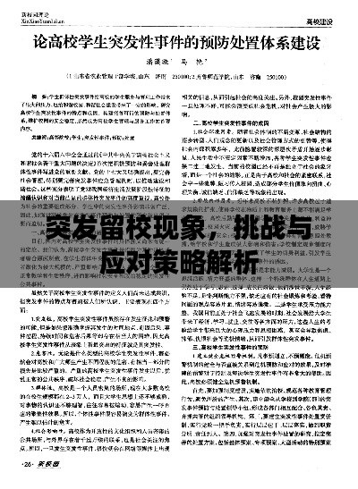 突发留校现象，挑战与应对策略解析