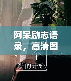 阿呆励志语录，高清图片鼓舞人心，励志话语激励前行