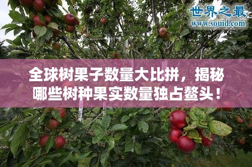 全球树果子数量大比拼，揭秘哪些树种果实数量独占鳌头！