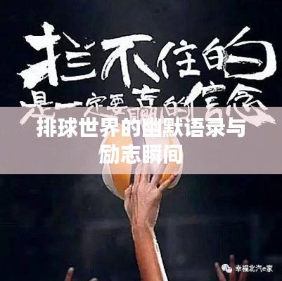 排球世界的幽默语录与励志瞬间