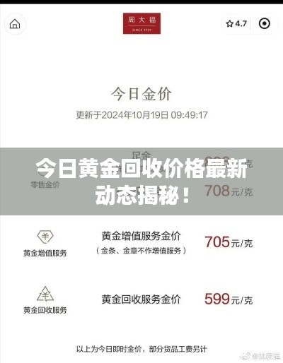 鸟惊鱼骇