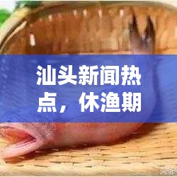 汕头新闻热点，休渔期助力海洋生态保护行动启动