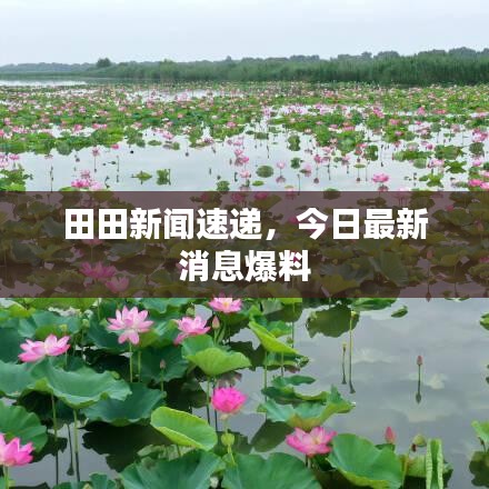 草草收兵