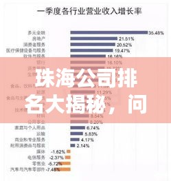 珠海公司排名大揭秘，问题背后的反思与启示