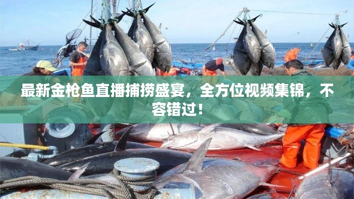 最新金枪鱼直播捕捞盛宴，全方位视频集锦，不容错过！