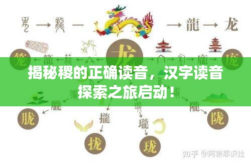 惊弦之鸟