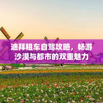 迪拜租车自驾攻略，畅游沙漠与都市的双重魅力
