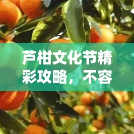 芦柑文化节精彩攻略，不容错过！