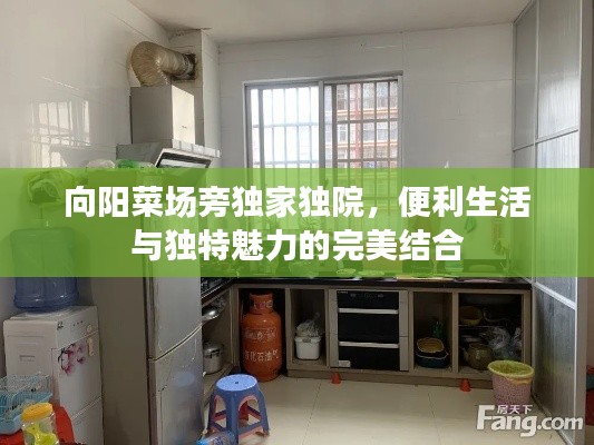闻所未闻