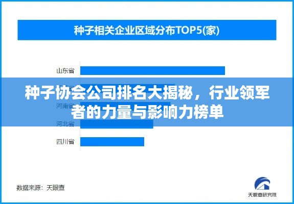 种子协会公司排名大揭秘，行业领军者的力量与影响力榜单