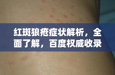 如鸟兽散