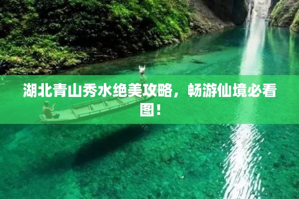 飞鸟依人