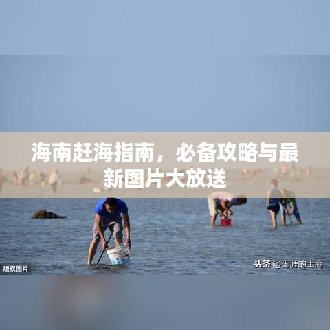 雪中送炭