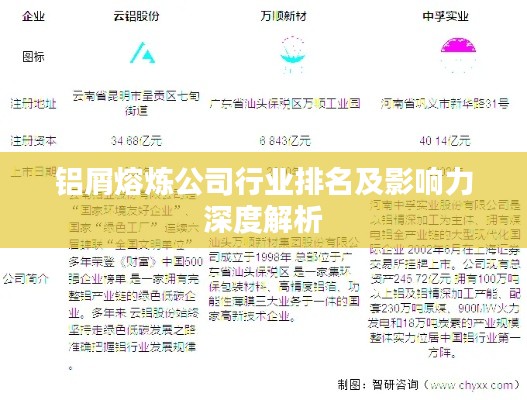 铝屑熔炼公司行业排名及影响力深度解析