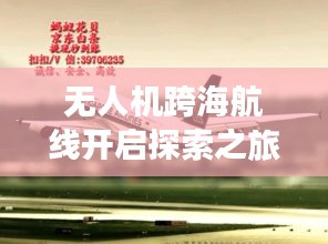 一花独放