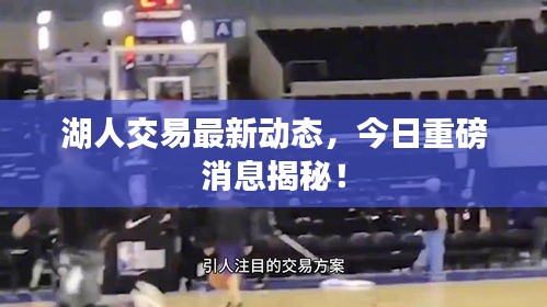 湖人交易最新动态，今日重磅消息揭秘！